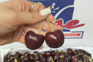 Cherry Mỹ – Món quà sức khỏe.
